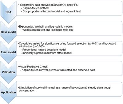 Exposure–response analysis using time-to-event data for bevacizumab biosimilar SB8 and the reference bevacizumab